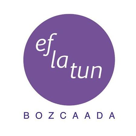 恰纳卡莱 Eflatun Konuk Evi酒店 外观 照片