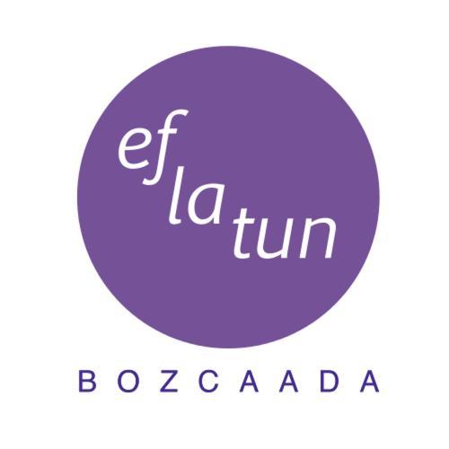 恰纳卡莱 Eflatun Konuk Evi酒店 外观 照片